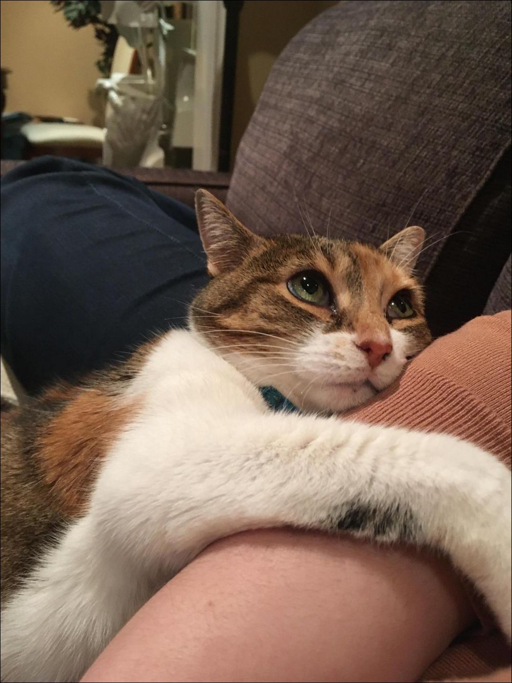 фото приколы