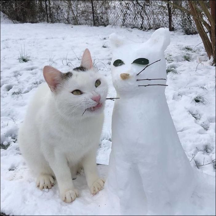 фото приколы