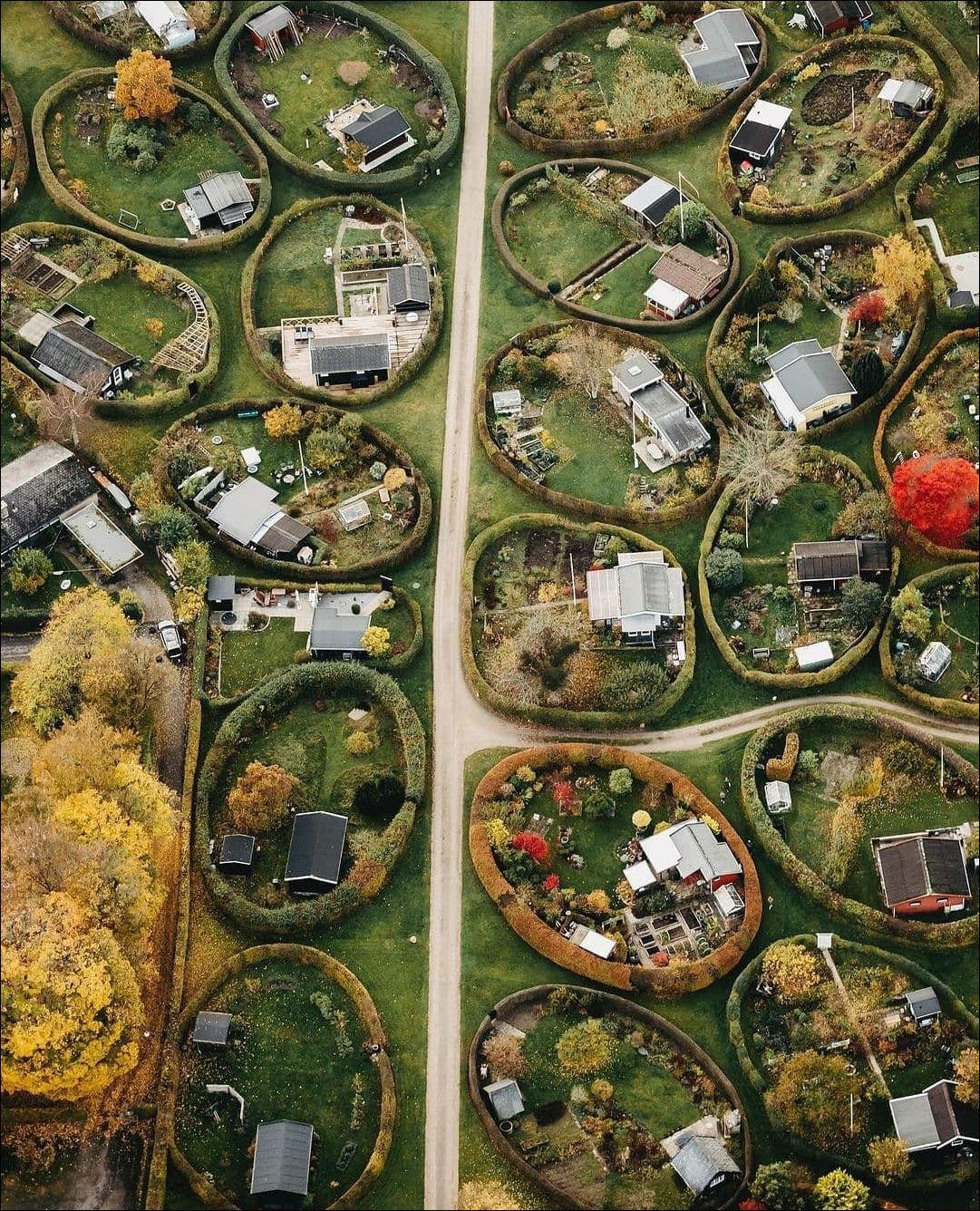 фото приколы