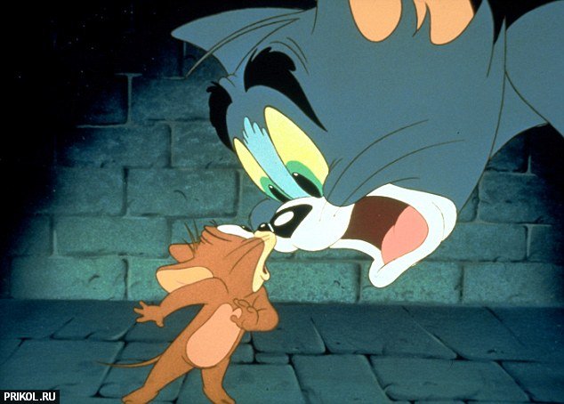 real-tom-and-jerry-05