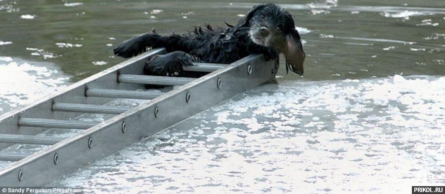 spasenie-utopauschih-04