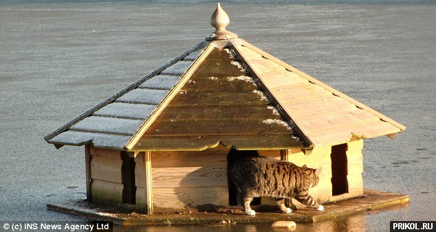 spasenie-utopauschih-11