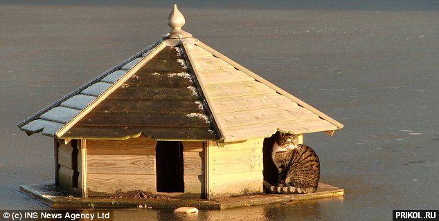 spasenie-utopauschih-12