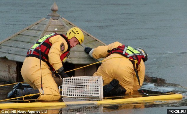 spasenie-utopauschih-15