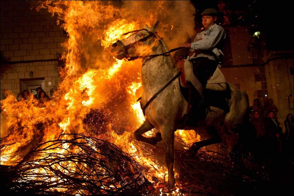 Всадник на огненном коне. Лошадь в огне. Огненная лошадь. Такая маленькая горит огнем и животные прыгают. Испанский фестиваль огня.