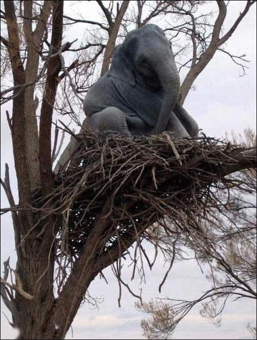 Подборка фотографий