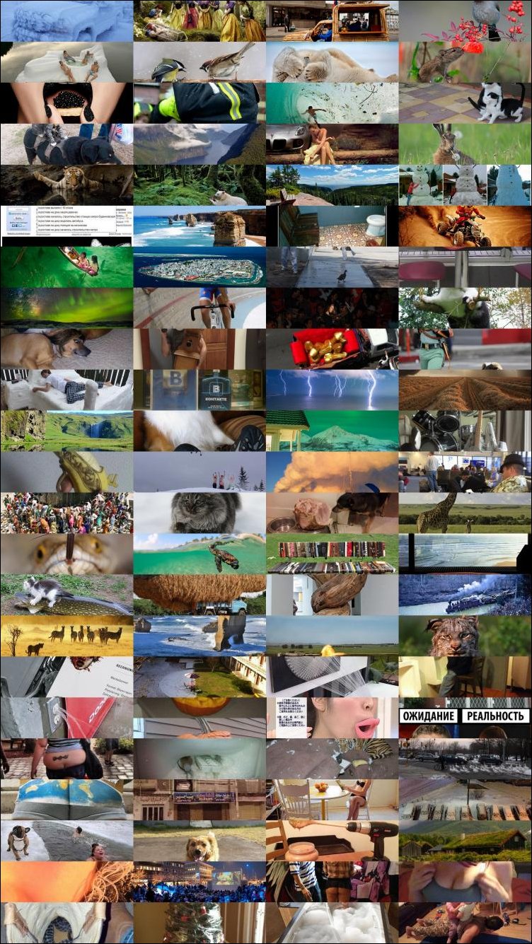 Подборка фотографий