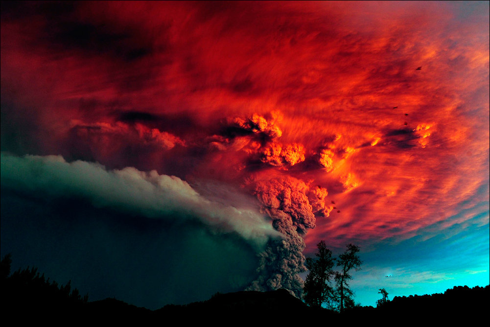 Подборка фотографий