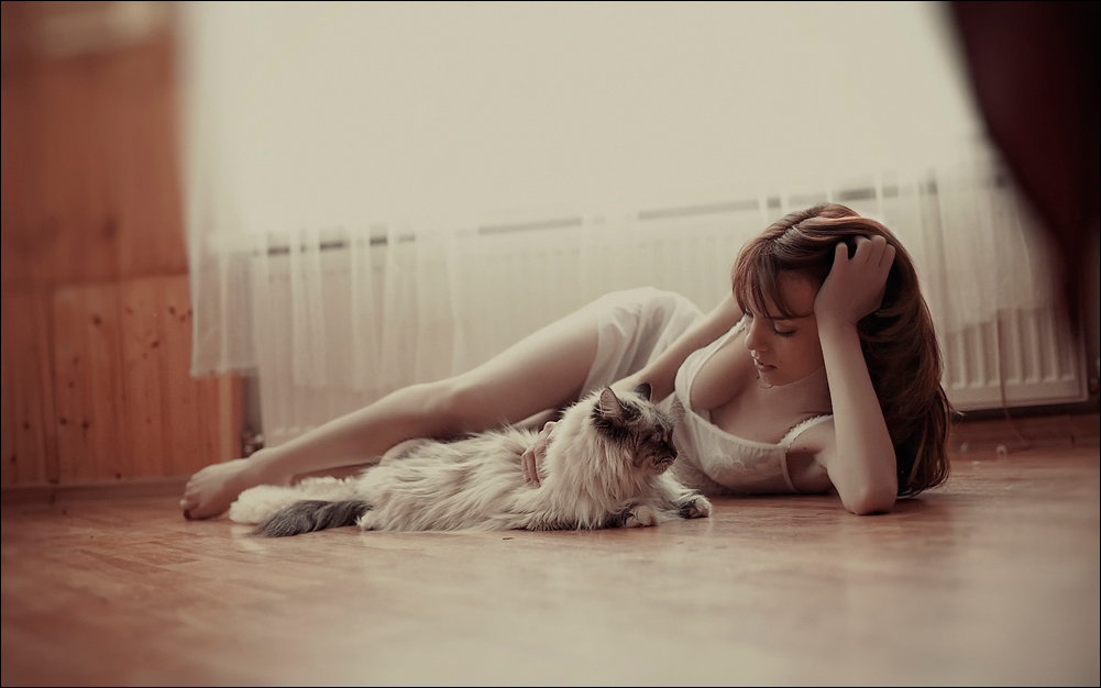 Подборка фотографий