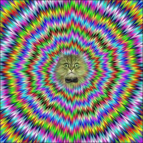 Подборка фотографий