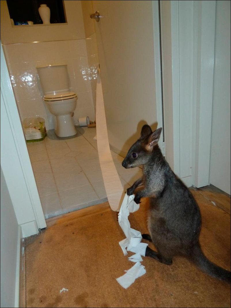 Подборка фотографий