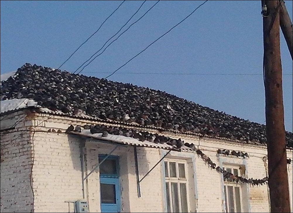 Подборка фотографий