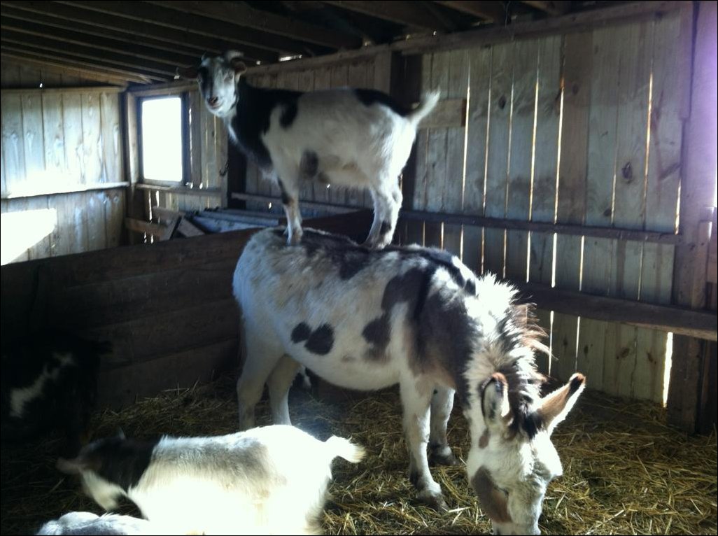 Подборка фотографий