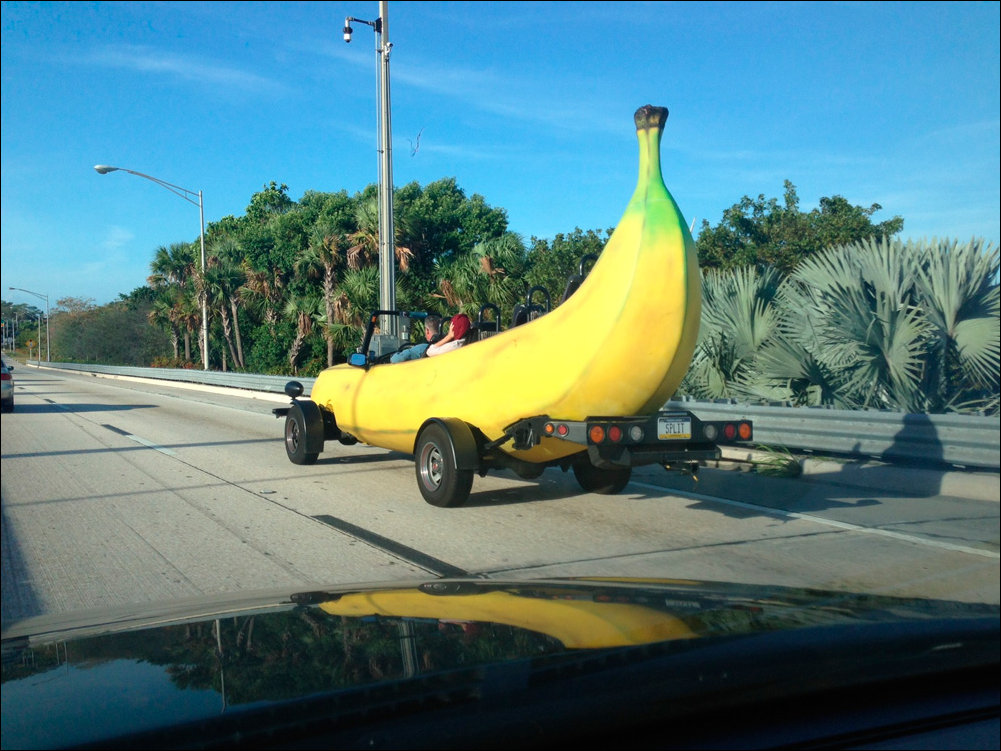 Подборка фотографий