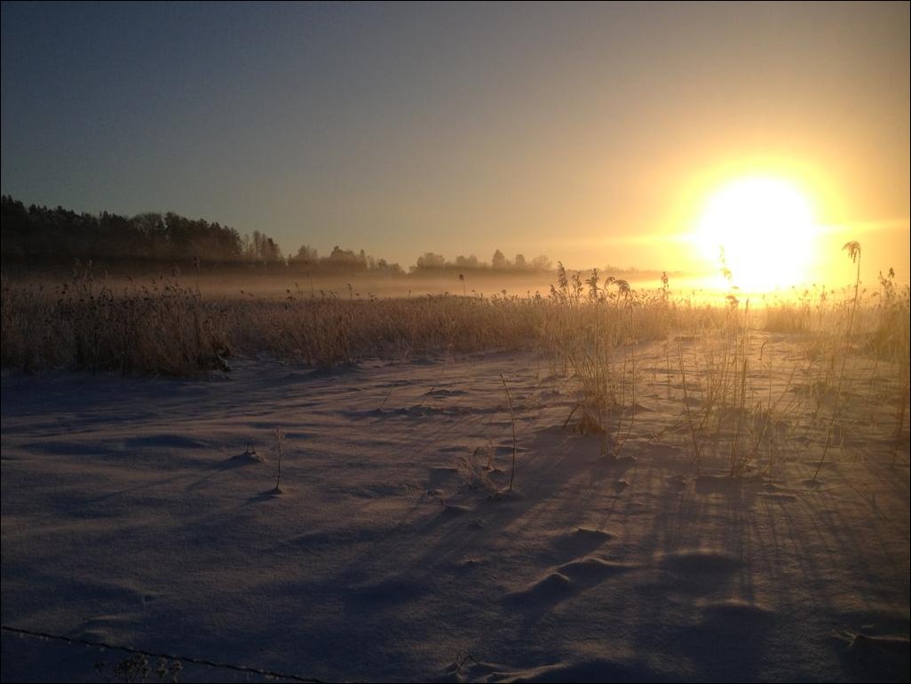Подборка фотографий