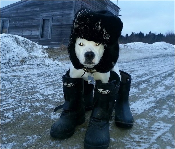 Подборка фотографий