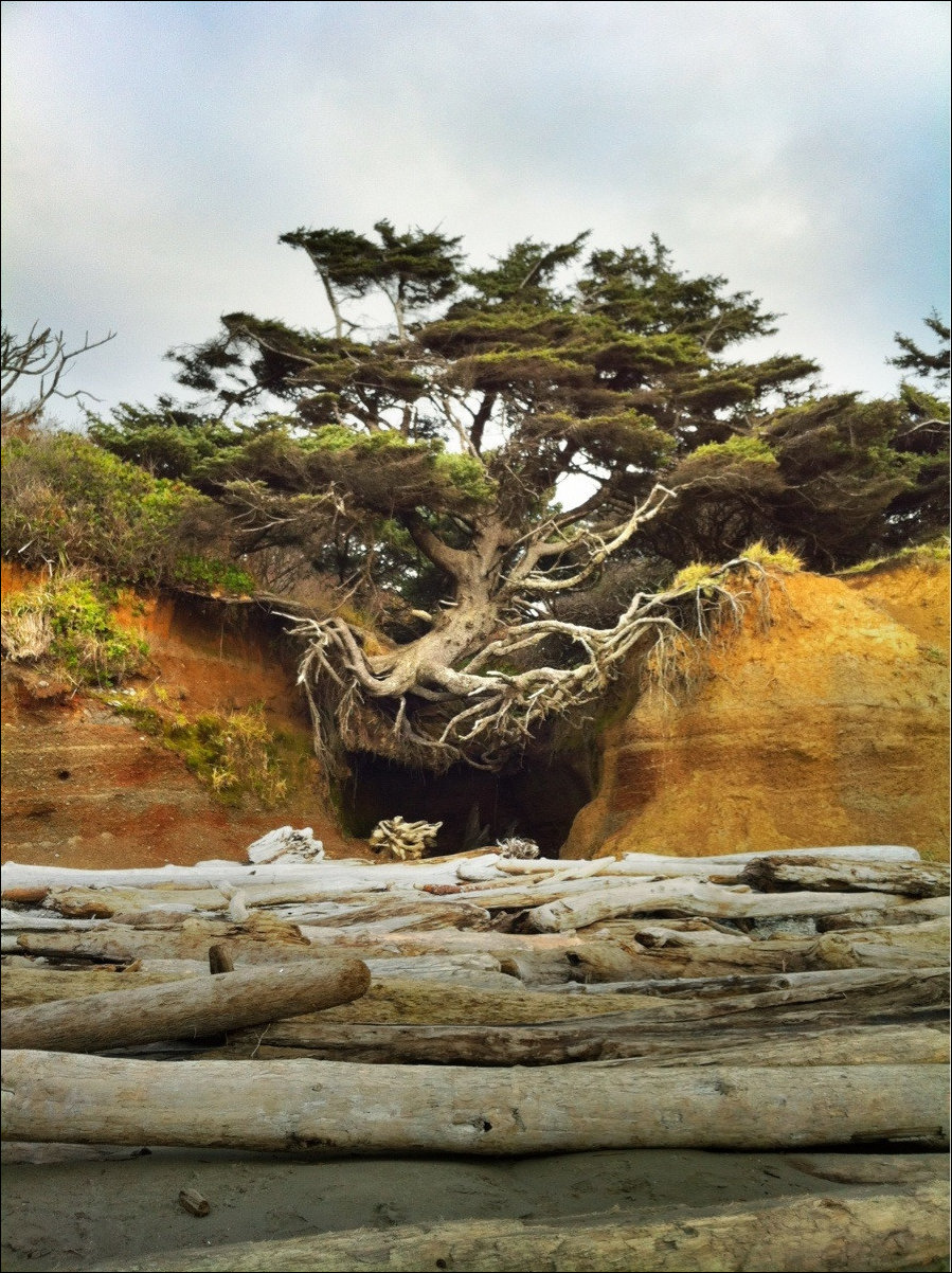 Подборка фотографий