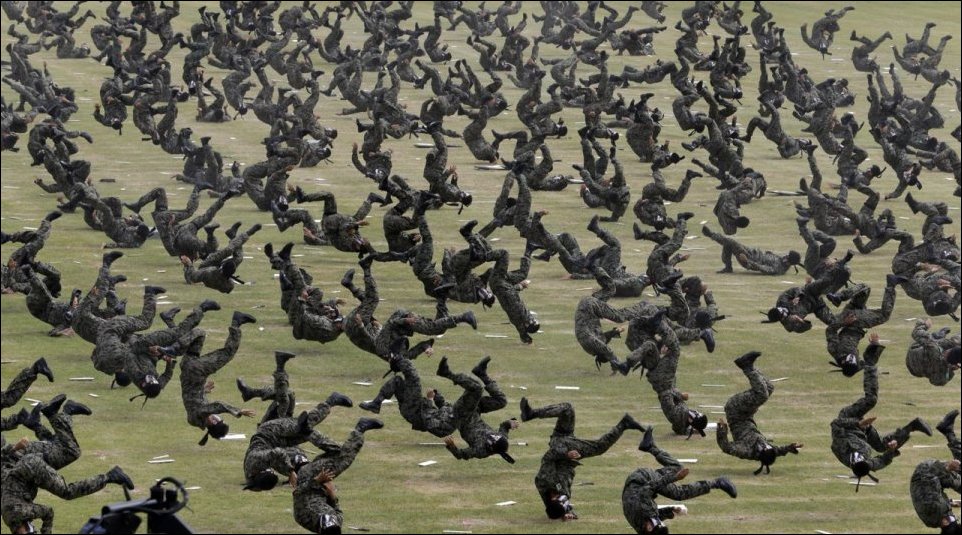 Подборка фотографий