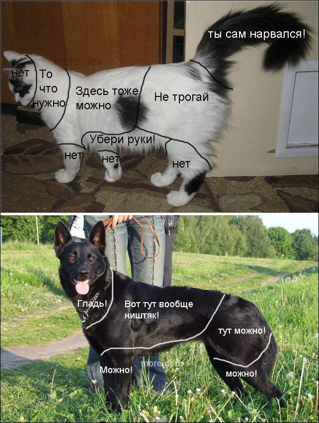 Подборка фотографий