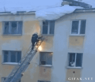 Подборка фотографий