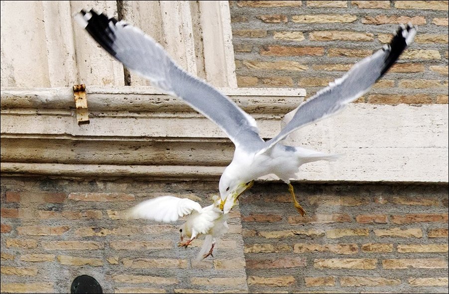 Angry Birds