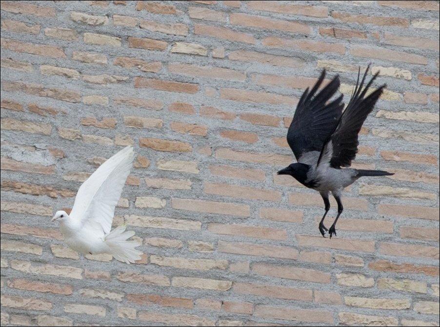 Angry Birds