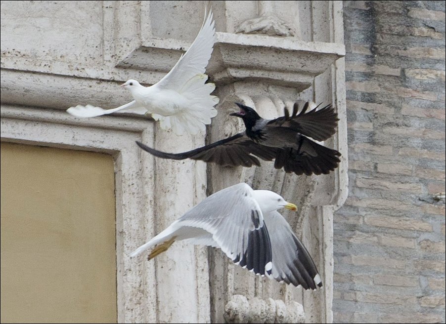 Angry Birds