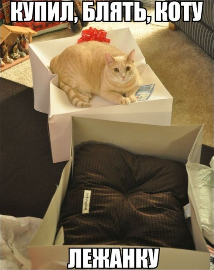 Комиксы и карикатуры