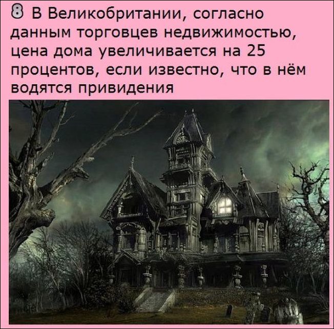 Интересные факты
