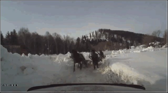 Прикольные гифки