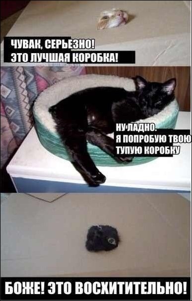 Комиксы и карикатуры