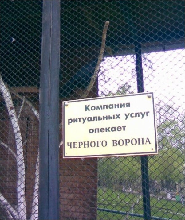 Прикольные надписи и объявления