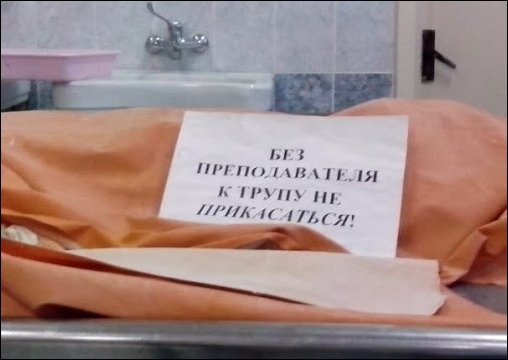 Прикольные надписи и объявления