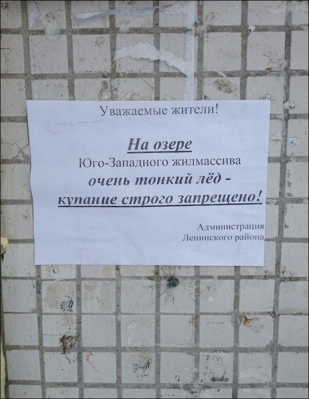 Прикольные надписи и объявления