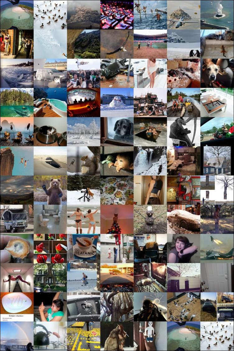 Фото приколы