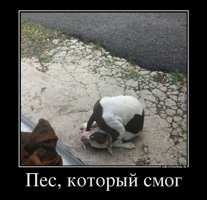 Демотиватор