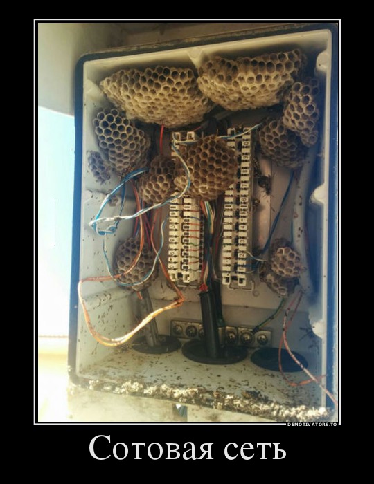 Демотиватор