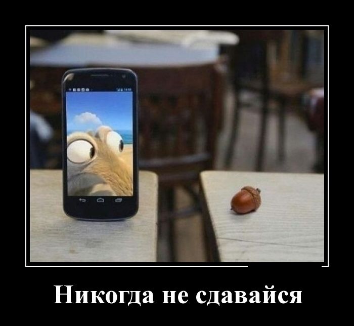 Демотиватор