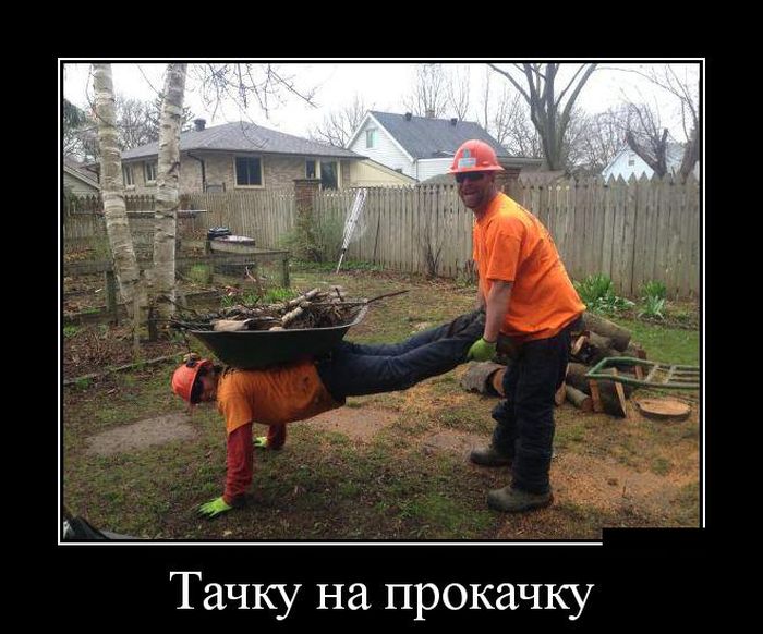 Демотиватор