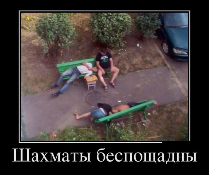 Демотиватор