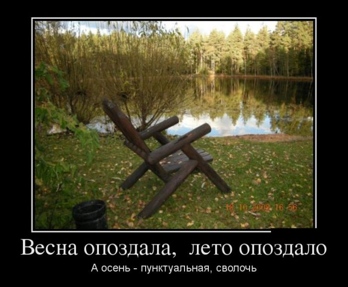 Демотиватор