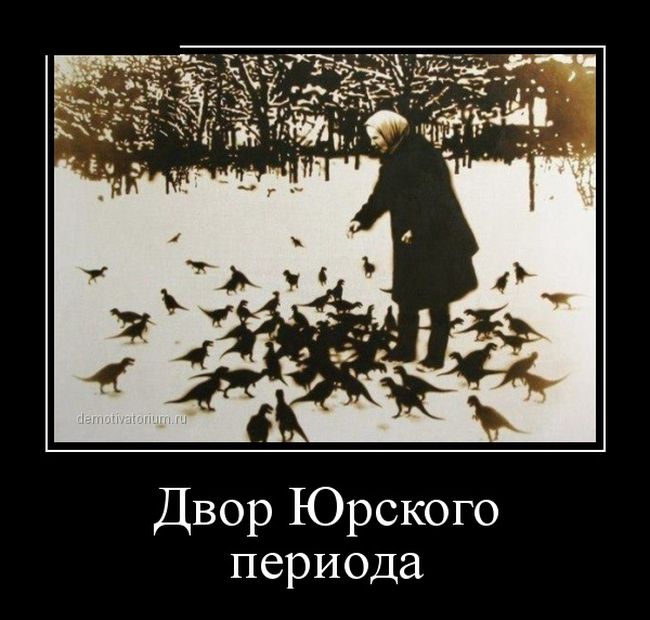 Демотиватор