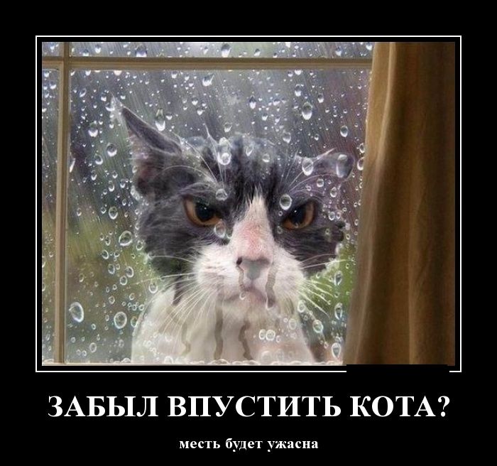 Демотиватор