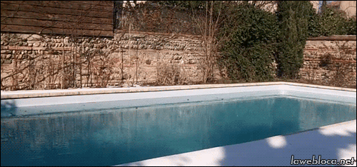 Прикольные гифки