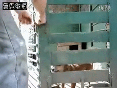 Прикольные гифки