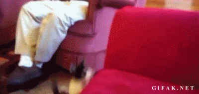 Прикольные гифки