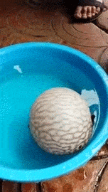 Прикольные гифки