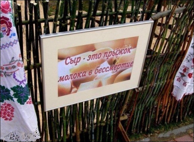 Прикольные надписи и объявления