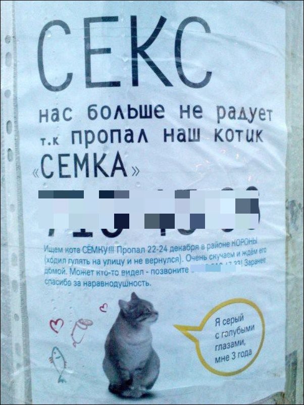 Прикольные надписи и объявления