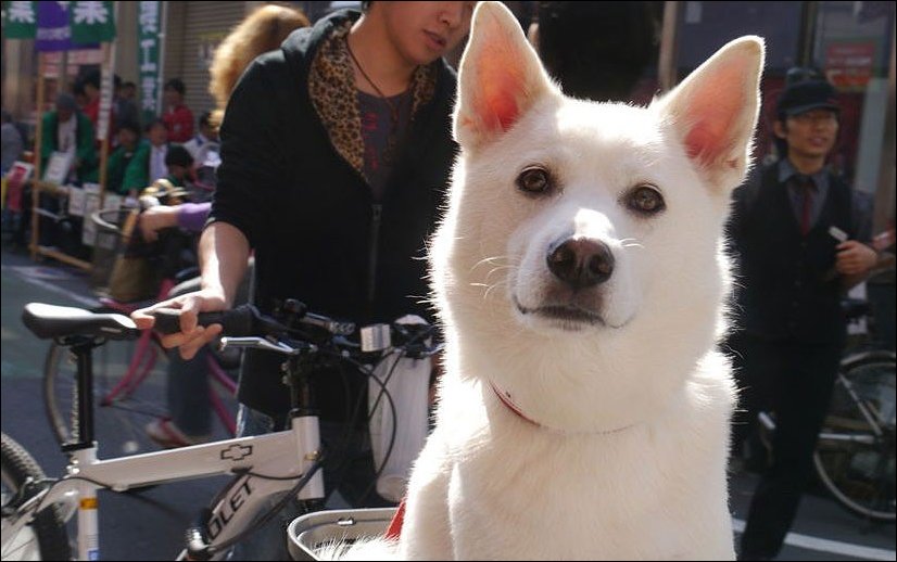 Случайная встреча